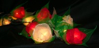 rgw rose string lights_sml.jpg